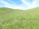 0 Douglas Rd. (Lot 42) - Photo 10