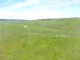 0 Douglas Rd. (Lot 43) - Photo 13