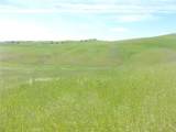 0 Douglas Rd. (Lot 43) - Photo 14