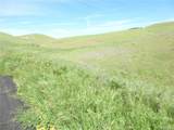 0 Douglas Rd. (Lot 43) - Photo 18