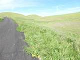0 Douglas Rd. (Lot 43) - Photo 19