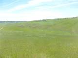 0 Douglas Rd. (Lot 43) - Photo 3