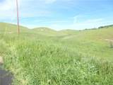 0 Douglas Rd. (Lot 43) - Photo 26