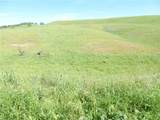 0 Douglas Rd. (Lot 43) - Photo 27