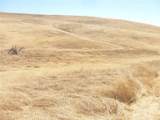 0 Douglas Rd. (Lot 43) - Photo 30