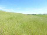 0 Douglas Rd. (Lot 43) - Photo 6