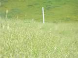 0 Douglas Rd. (Lot 43) - Photo 8