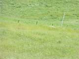 0 Douglas Rd. (Lot 43) - Photo 9
