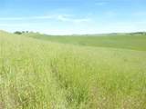 0 Douglas Rd. (Lot 43) - Photo 10