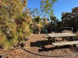 45740 Chapman - Photo 1