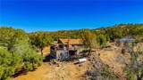 43629 Ranger Circle Dr - Photo 52
