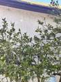 18090 Iris Avenue - Photo 33