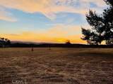 11055 Sunset - Photo 16