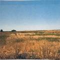 21975 State Highway 140 - Photo 10