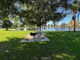 6203 Vista Estrella - Photo 15