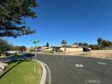 6203 Vista Estrella - Photo 10