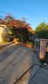 2313 Downie Place - Photo 30