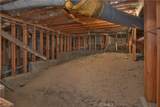 27494 White Fir - Photo 27