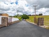 2230 Del Sol - Photo 5