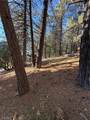 0 Poplar - Photo 11