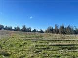 27560 Cornell St - Photo 19