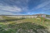 300 Flightline - Photo 3