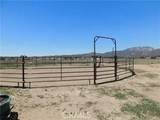300 Flightline - Photo 40
