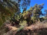28618 Chihuahua Valley - Photo 11