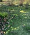9767 Fairway - Photo 1