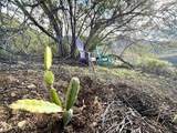  De Luz Murrieta - Photo 24