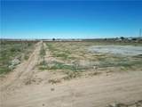 0 Muskrat - Photo 14