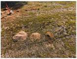 27277 Garbani - Photo 18