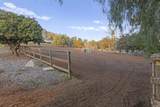 1160 Little Gopher Canyon - Photo 40