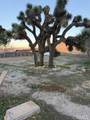 7685 Calpella - Photo 5