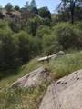 37 Lynx - Photo 28