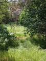 37 Lynx - Photo 29