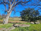 59366 Road 225 - Photo 2