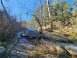 59366 Road 225 - Photo 4