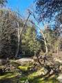 59366 Road 225 - Photo 36