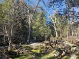 59366 Road 225 - Photo 40