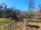 59366 Road 225 - Photo 41