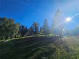 59366 Road 225 - Photo 46