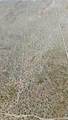 0 El Mirage - Photo 8