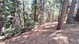 0 Cedar Pines - Photo 1