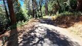0 Cedar Pines - Photo 4