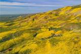 0 Bellflower - Photo 14