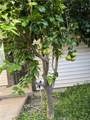 1115 E Truman - Photo 10