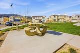 16281 Castello - Photo 8