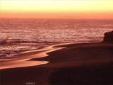 31423 Coast Hwy - Photo 46