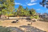 19149 San Jacinto Way - Photo 40